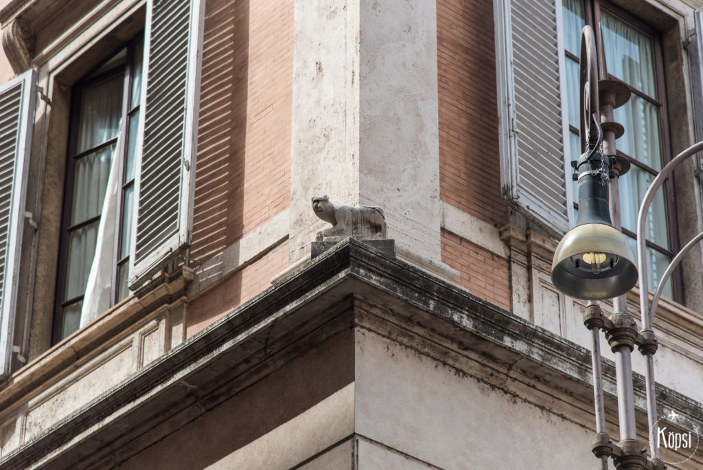 rooman ainoa kissapatsas rooman nahtavyydet