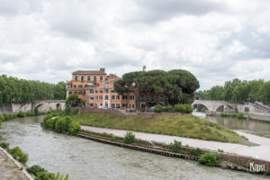 saari roomassa tiber-joessa