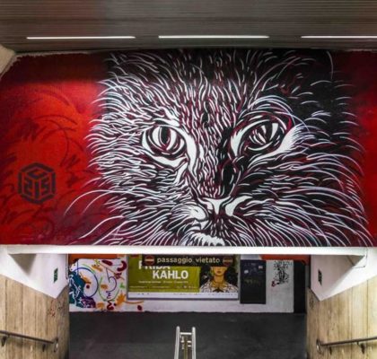 C215 metro spagna