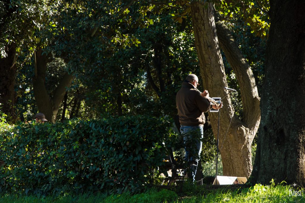 katusoittaja roomassa