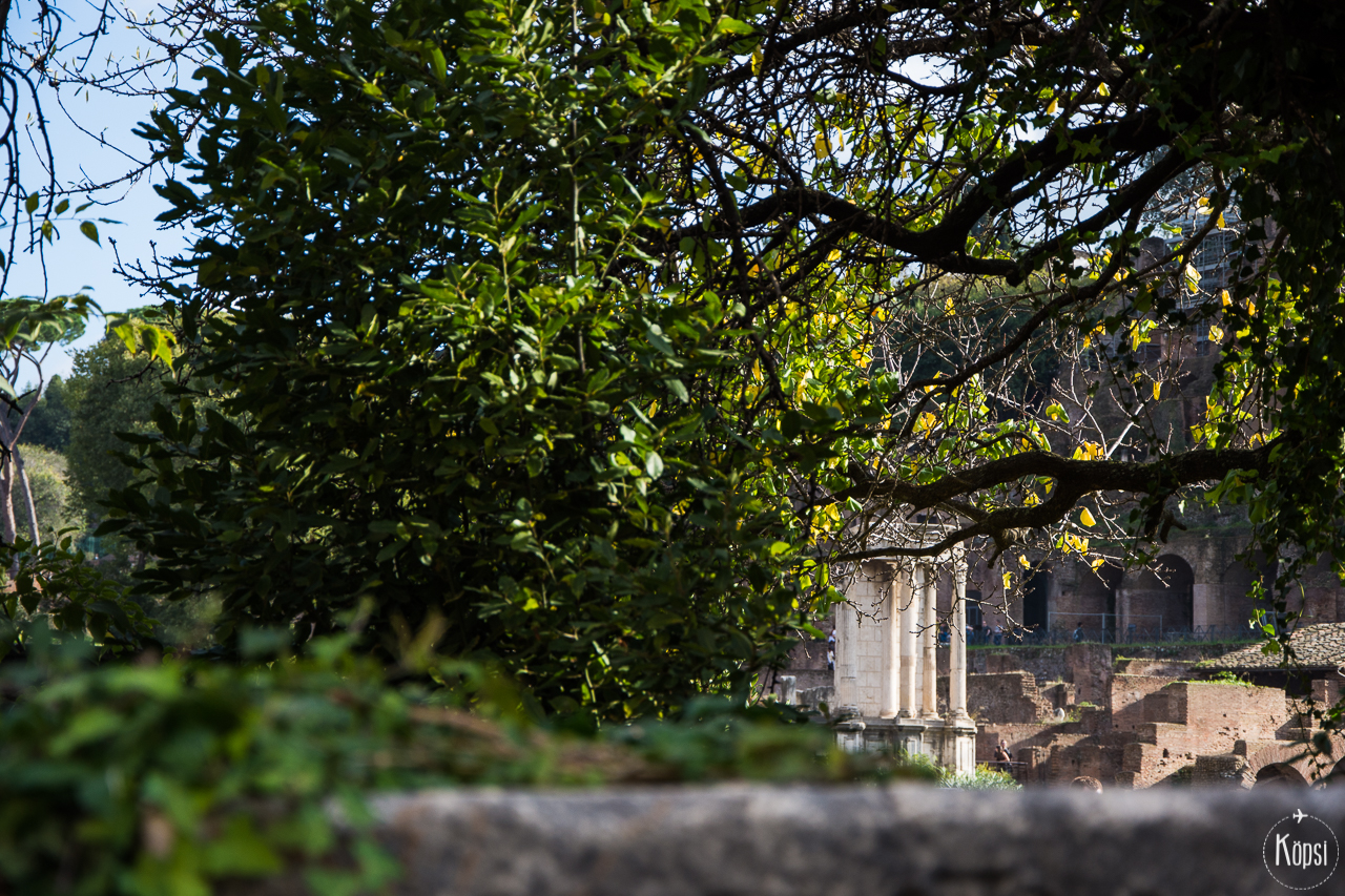 nahtavyydet rooma keskusta Forum Romanum